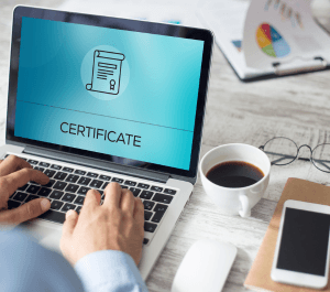 البنوك، الاستثمار، والخزينة