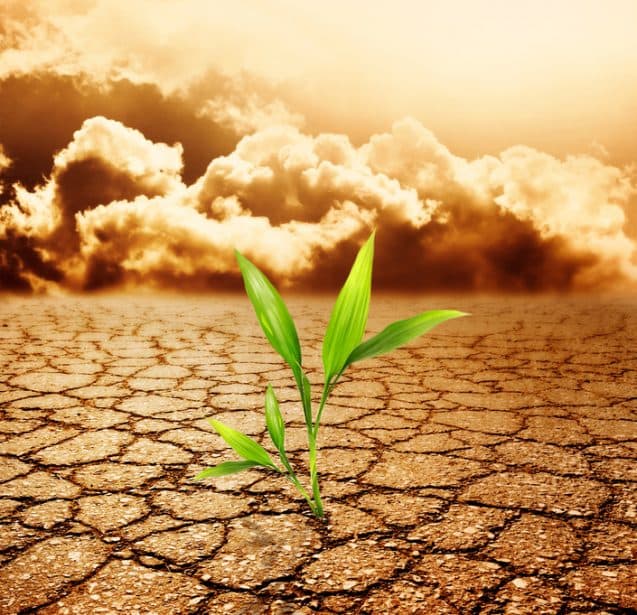Climate Change Risk & Vulnerability Assessment and Management