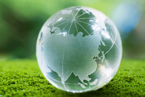 Bridging Science, Policy, and Environmental Solutions
