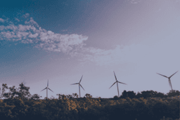 Certificate in Environmental Management 