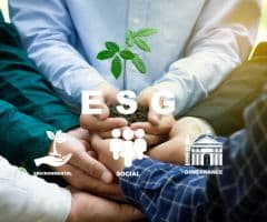 ESG Reporting & Corporate Sustainability