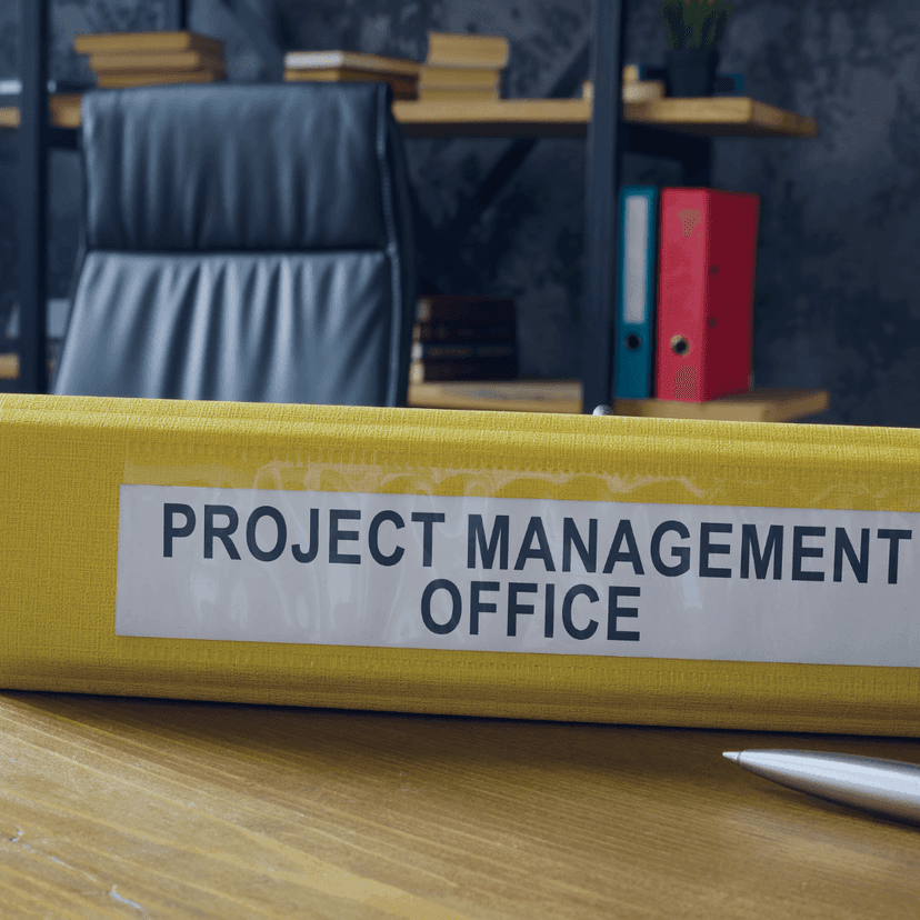 Project Management Office (PMO) Professional Training Project Management Office (PMO) Professional Training