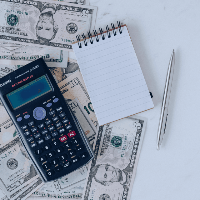 Public Finance & Government Expenditure Controls